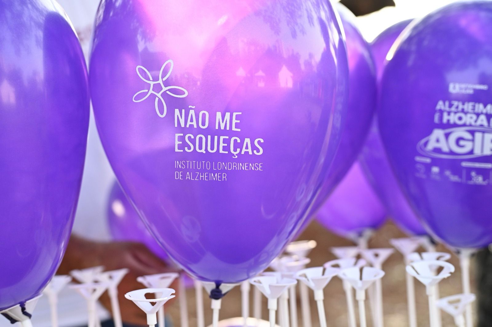 Instituto Não Me Esqueças recebe título de entidade de utilidade pública estadual